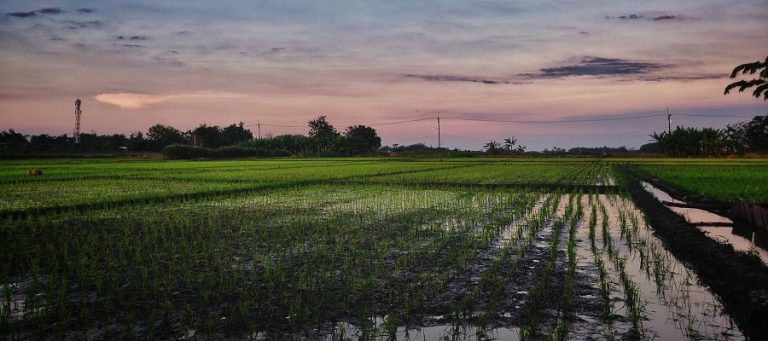 Indo Gangetic Brahmaputra Plain Northern Plains Of India 4262